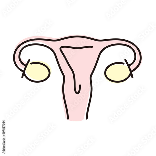 Human organ uterus flat icon, vector illustration