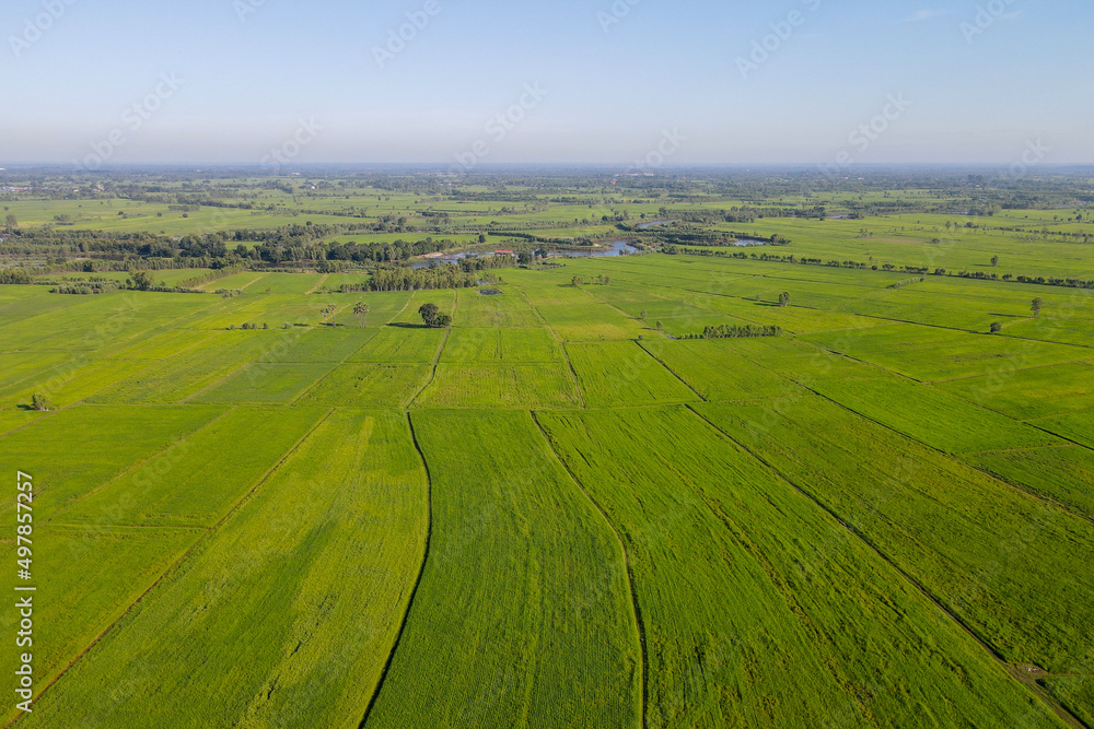 High Angle View Of Rice Field Landscape High Angle View Of Rice Field Landscape