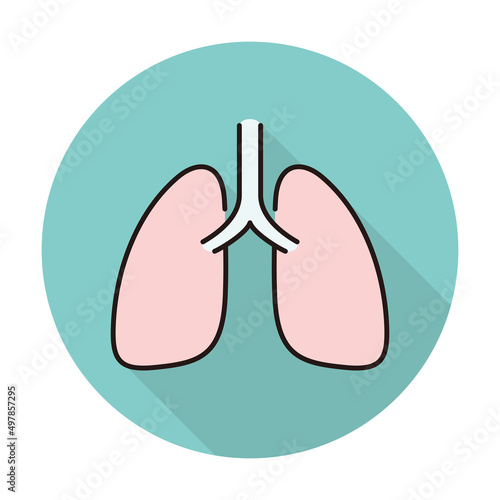Human organ lungs flat icon, vector illustration