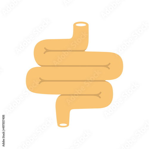 Human organ intestine flat icon, vector illustration