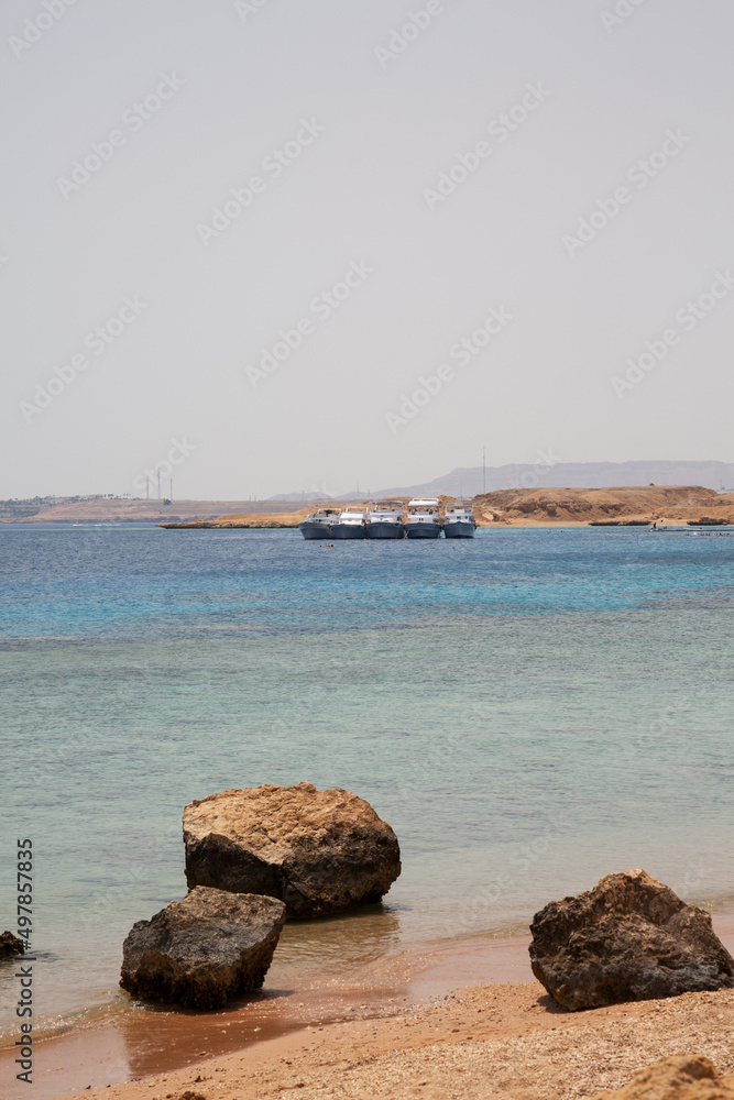 Yachts with tourists in a bay of the Red Sea, Sharm El Sheikh, Egypt Yachts with tourists in a bay of the Red Sea, Sharm El Sheikh, Egypt