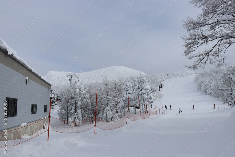 スノーモンスター、山形県、蔵王（樹氷）