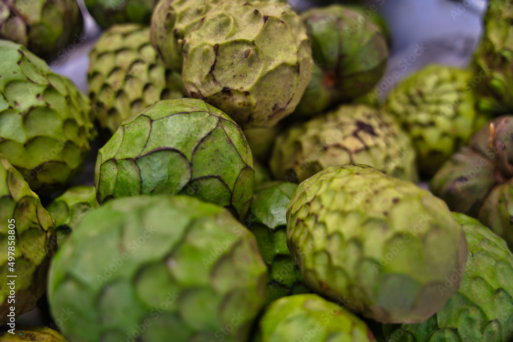 Macro shot of Cherimoya fruits. The cherimoya is scientifically named Annona Cherimola on the market in Funchal, Madeira, Portugal Macro shot of Cherimoya fruits. The cherimoya is scientifically named Annona Cherimola on the market in Funchal, Madeira, Portugal