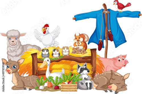 Farm animals by the fence