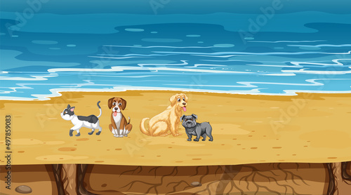 Set of different domestic animals on the beach scene