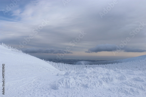 スノーモンスター、山形県、蔵王（樹氷） © おたどん