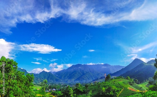 Thai Nguyen tea hill (Dai Tu district, Thai Nguyen province, Vietnam)