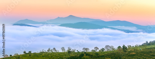 New morning scene on top hill looking down with fog covering valley and peaceful sunrise sky background in Da Lat highland  Vietnam