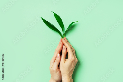 Growth and gardening creative concept with hand holding sprout on green background,