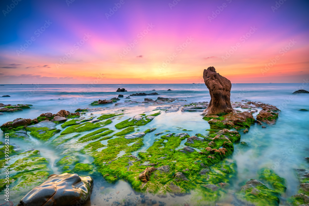 Rocky beach and green moss in sunrise sky at a beautiful beach in central Vietnam