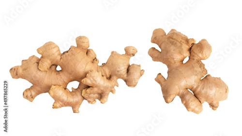 Ginger rhizome isolated on white background with clipping path.