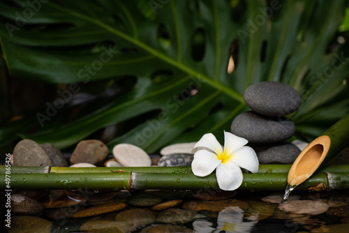White plumeria flower stones and bamboo waterfall on nature background.