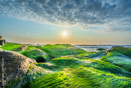 Rocky beach and green moss in sunrise sky at a beautiful beach in central Vietnam photo