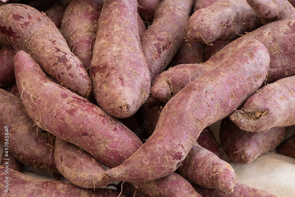 Purple sweet potato on nature background. Purple sweet potato on nature background.