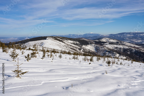 Wallpaper Mural White panorama at Silesian Beskid on european Bialy Krzyz in Poland Torontodigital.ca