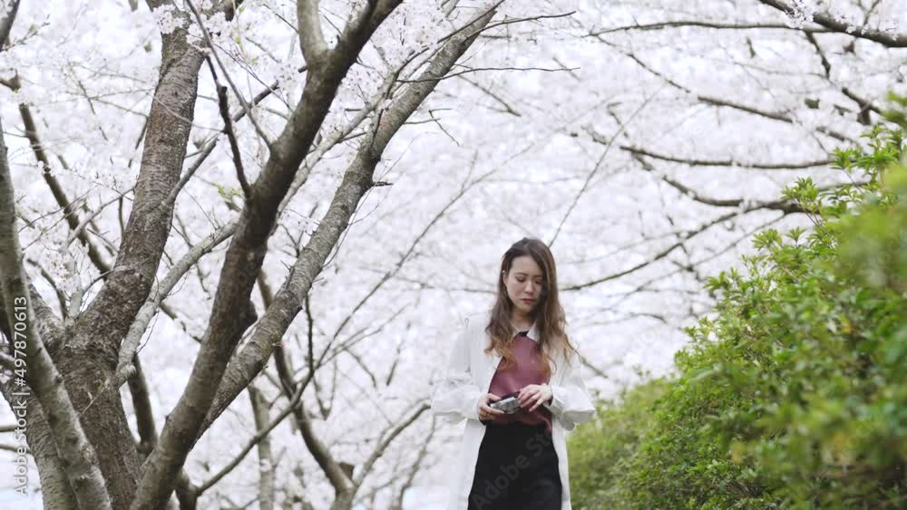 満開の桜の中を散策する女性