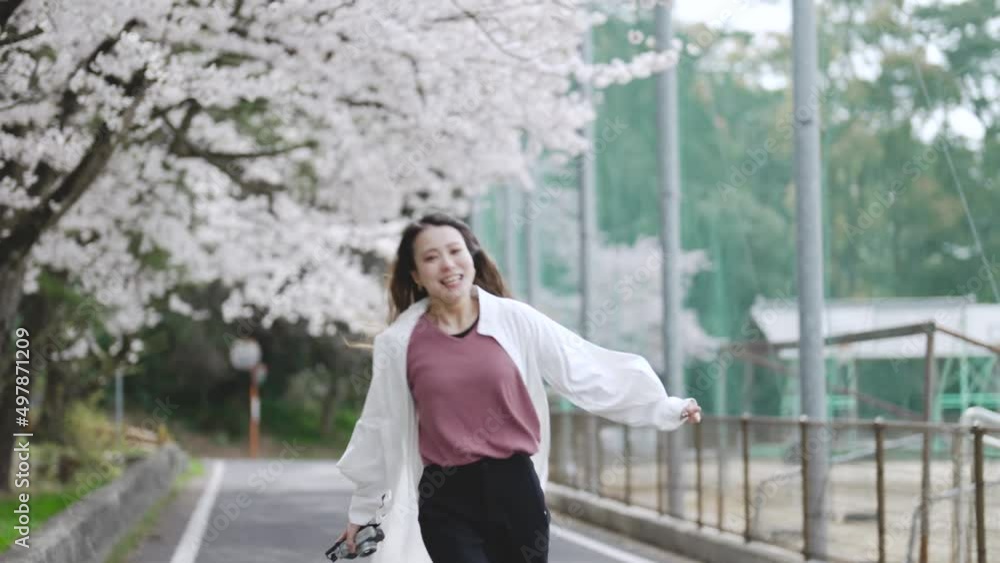 満開の桜の中を散策する女性 満開の桜の中を散策する女性