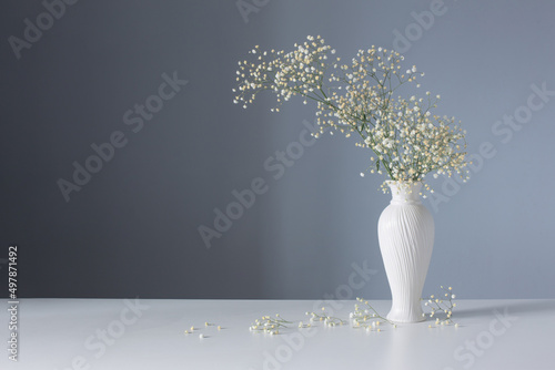 gypsophila flowers in white vase on blue background photo