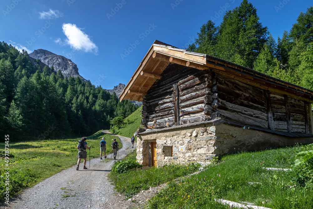 Randonnée dans le Massif du Queyras en été , Hautes-Alpes , France Randonnée dans le Massif du Queyras en été , Hautes-Alpes , France