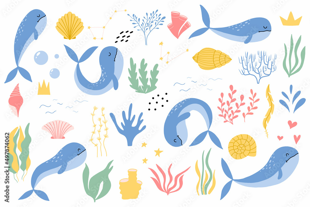Fototapeta premium Set with whales, algae and shells. Childish hand drawn set of cute whales. Undersea world. Vector illustration.