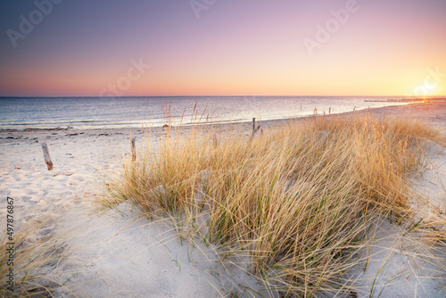 natural beach with dunes and grass