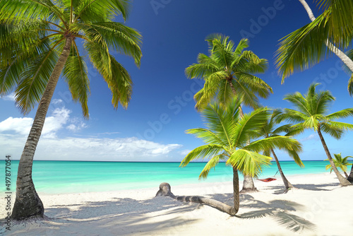 Fototapeta Naklejka Na Ścianę i Meble -  perfect white sand beach with turquoise water, palms and colorful hammock