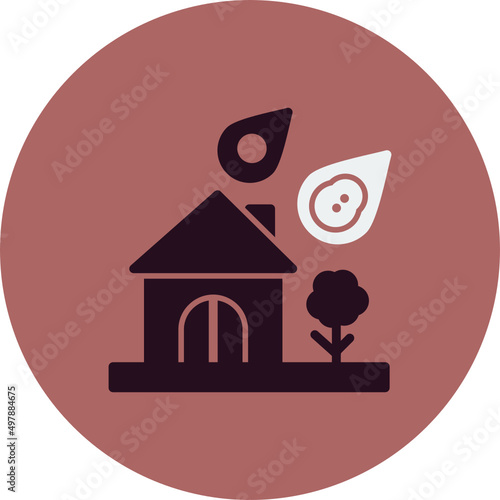 Natural Disaster Icon