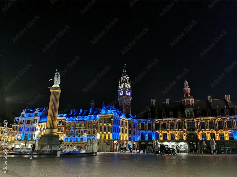 Obraz premium Lille