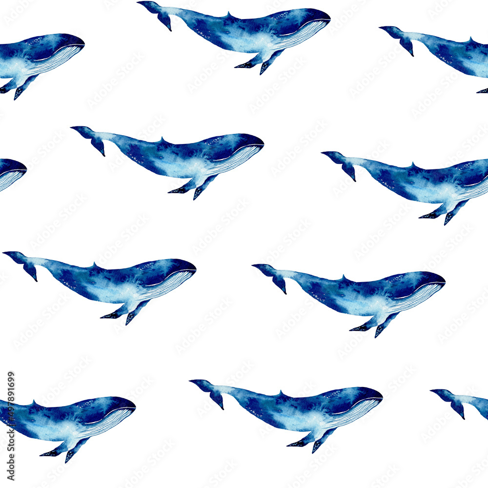 Fototapeta premium Seamless pattern with illustration whale on white background