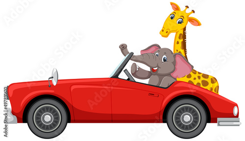 Cartoon animals in the red car