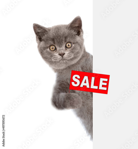 Funny kitten holds sales symbol behind empty white banner. Empty space for text. Isolated on white background