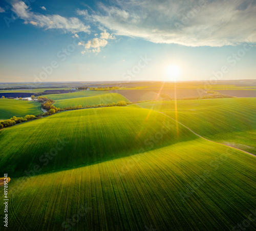 Perfect agricultural area and green wavy fields in sunny day.