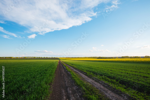 Wonderful summer scene of green rural area and cultivated fields on a sunny day.