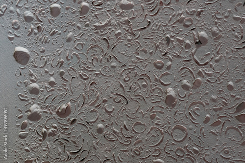Wall tile sea shell abstract texture.