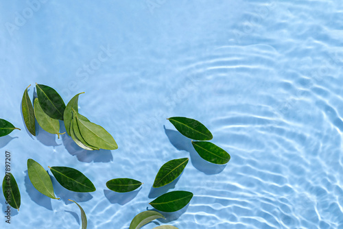 Water ripple with green leaves. Trendy blue background for cosmetic product presentation. Artistic concept. Copy space