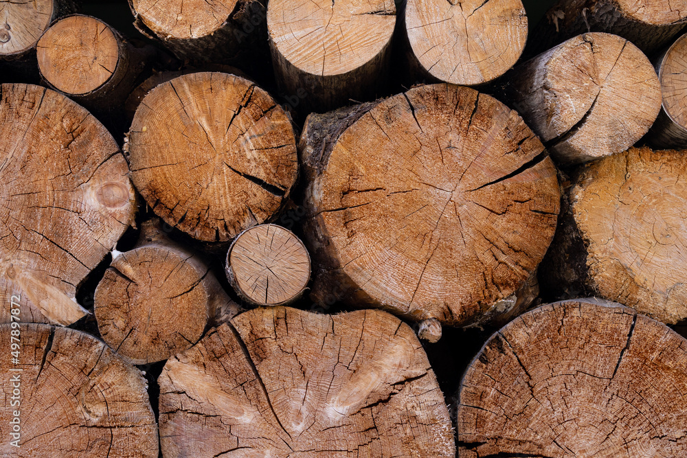 Cross section of the timber, cut trees, firewood stack for the background. Close up pile of logs background. Cross section of the timber, cut trees, firewood stack for the background. Close up pile of logs background.