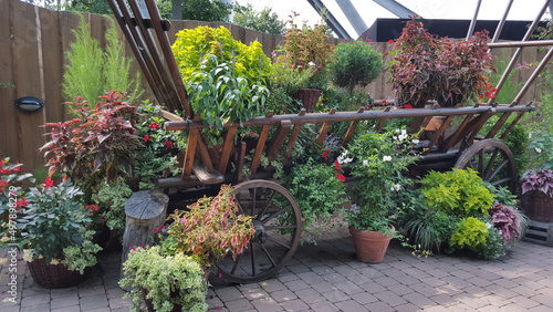 Wooden cart with plants