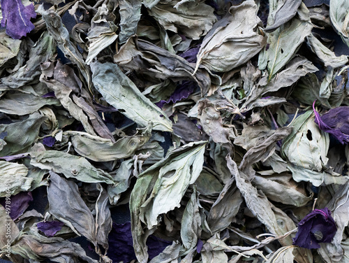 Basil leaves. Dried basil used to flavour a variety of dishes