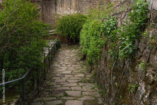 old medieval stone path and green plants in park 