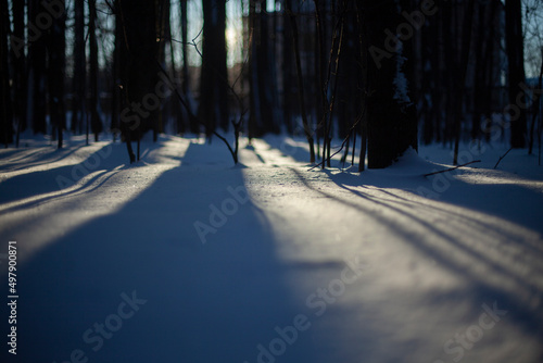 Snowy landscape. Shadows in snow, sun sets behind trees in winter.