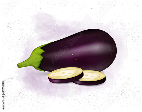 Fresh eggplant vegetable vector illustration with round slices of eggplant