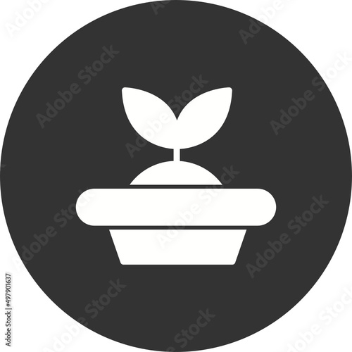 Seed Starter Icon