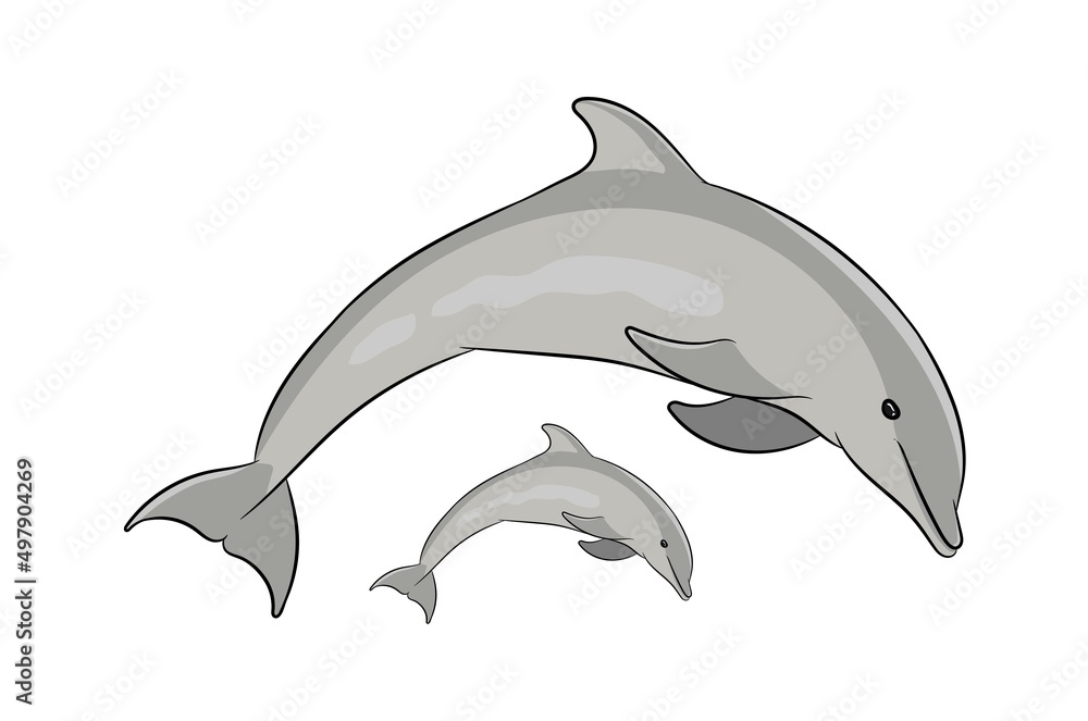 Obraz premium Dolphin Cartoon Fish Character Design