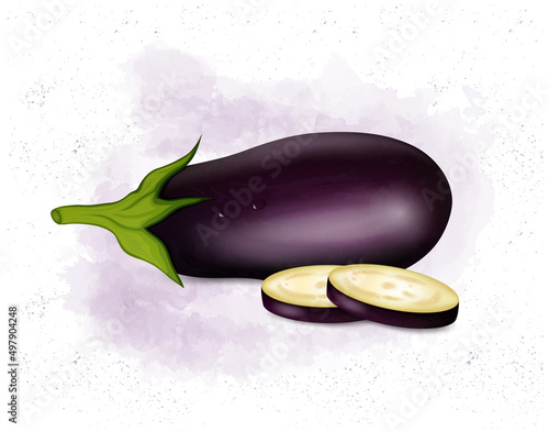 Fresh eggplant vector illustration with round slices