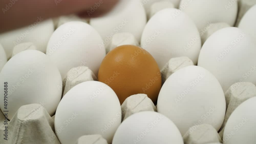 Hand changes the broken egg to the whole egg on platform - close up. Lots of fresh chicken raw eggs Hand changes the broken egg to the whole egg on platform - close up. Lots of fresh chicken raw eggs