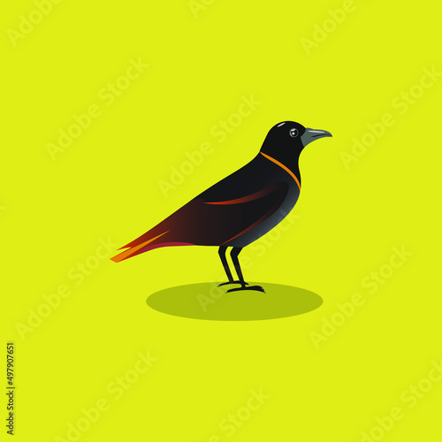 illustration of a bird