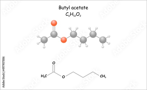 Billede på lærred Stylized molecule model/structural formula of butyl acetate