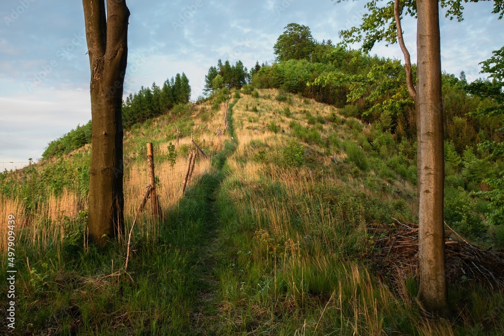 Fototapeta premium Walkway to the top of the hill. Hostyn Hills. Moravia. Czechia. 