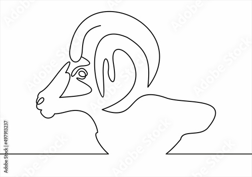 Ram head line icon. Vector illustration.