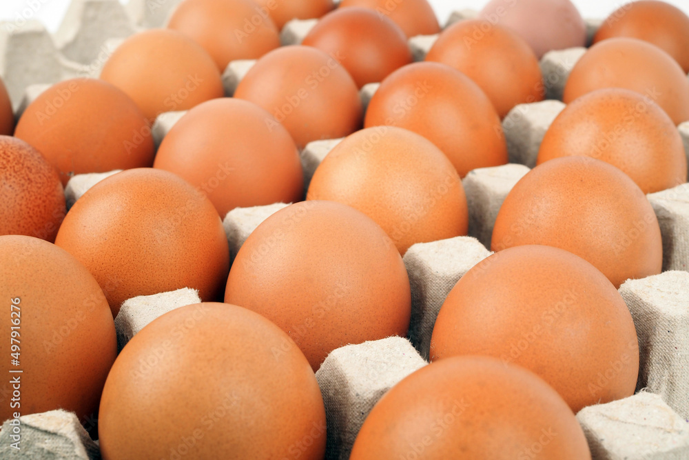 fresh chicken eggs in carton box for sale fresh chicken eggs in carton box for sale